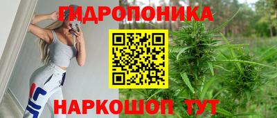 ALPHA PVP Пугачёв