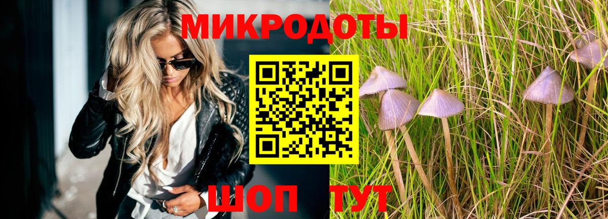 Скопин  Галлюциногенные грибы ЛСД  Вход с VPN 